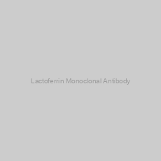 Image of Lactoferrin Monoclonal Antibody